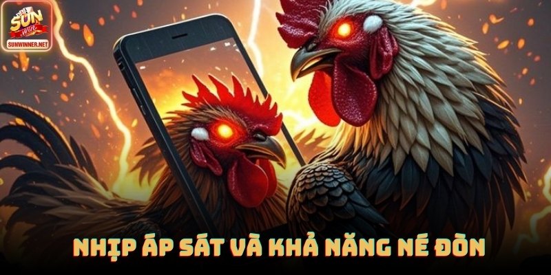 Góc quay cận cảnh giúp người xem quan sát đòn cựa trúng điểm quyết định của đá gà cựa sắt